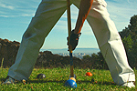 Woollcott Croquet Tournament